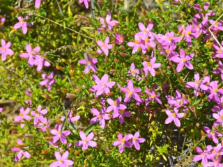 DSC_4690 DSC_4690