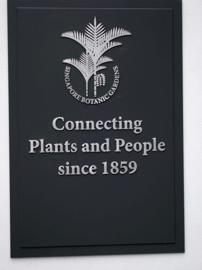 SIN-04 - 11 SIN-04 - 11