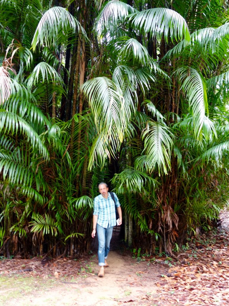 SIN-04 - 16 SIN-04 - 16