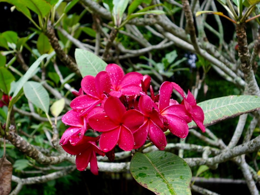 SIN-04 - 19 SIN-04 - 19