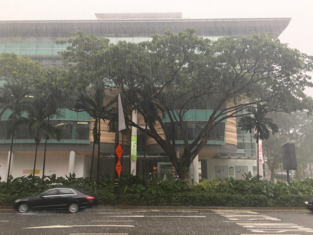 SIN-04 - 2 SIN-04 - 2