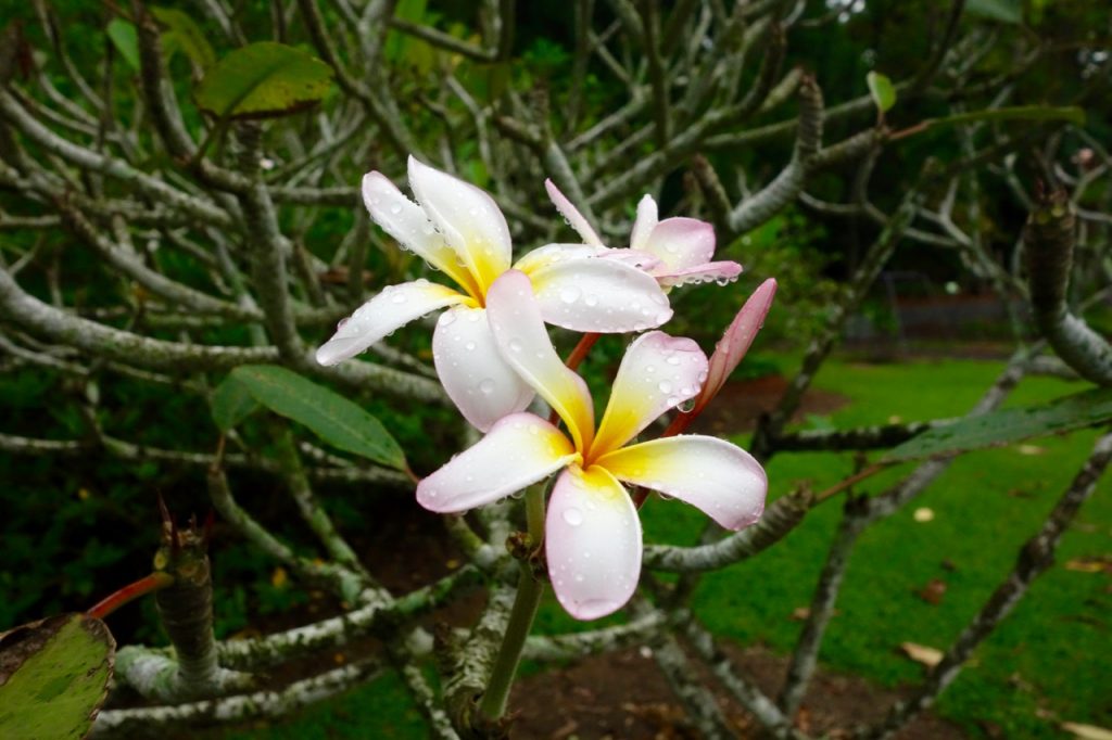 SIN-04 - 21 SIN-04 - 21