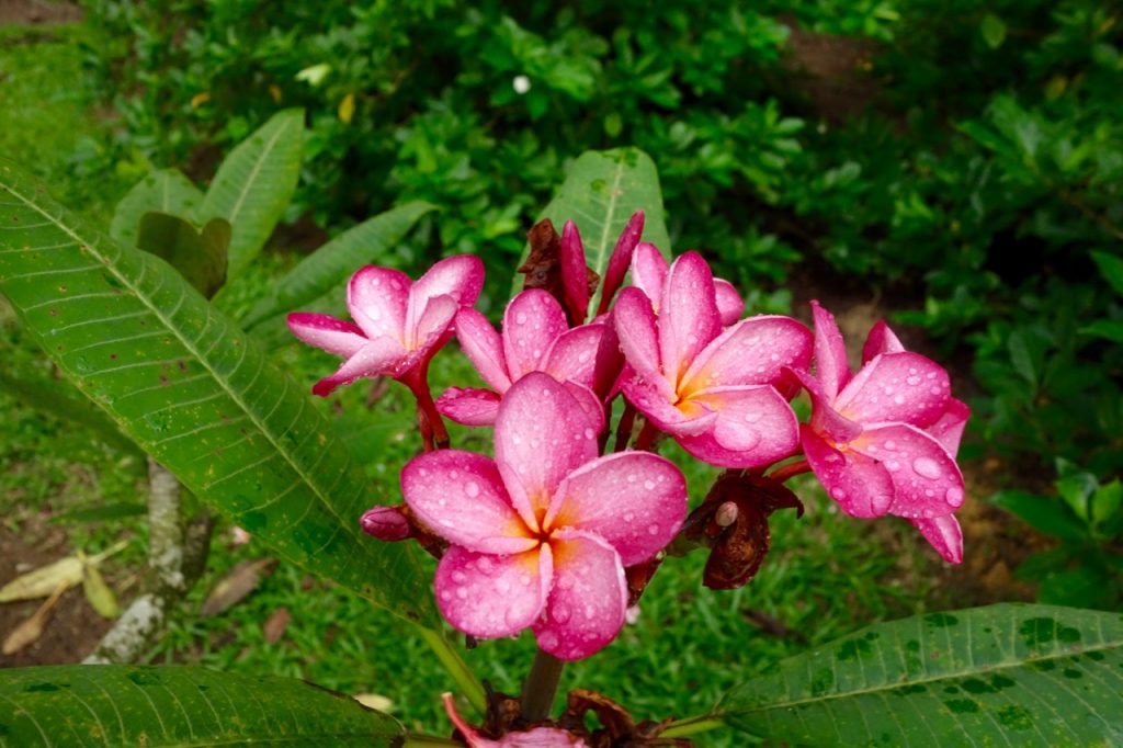 SIN-04 - 22 SIN-04 - 22