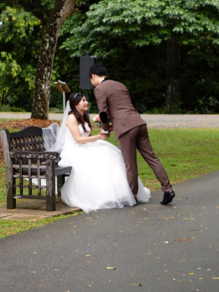 SIN-04 - 26 SIN-04 - 26