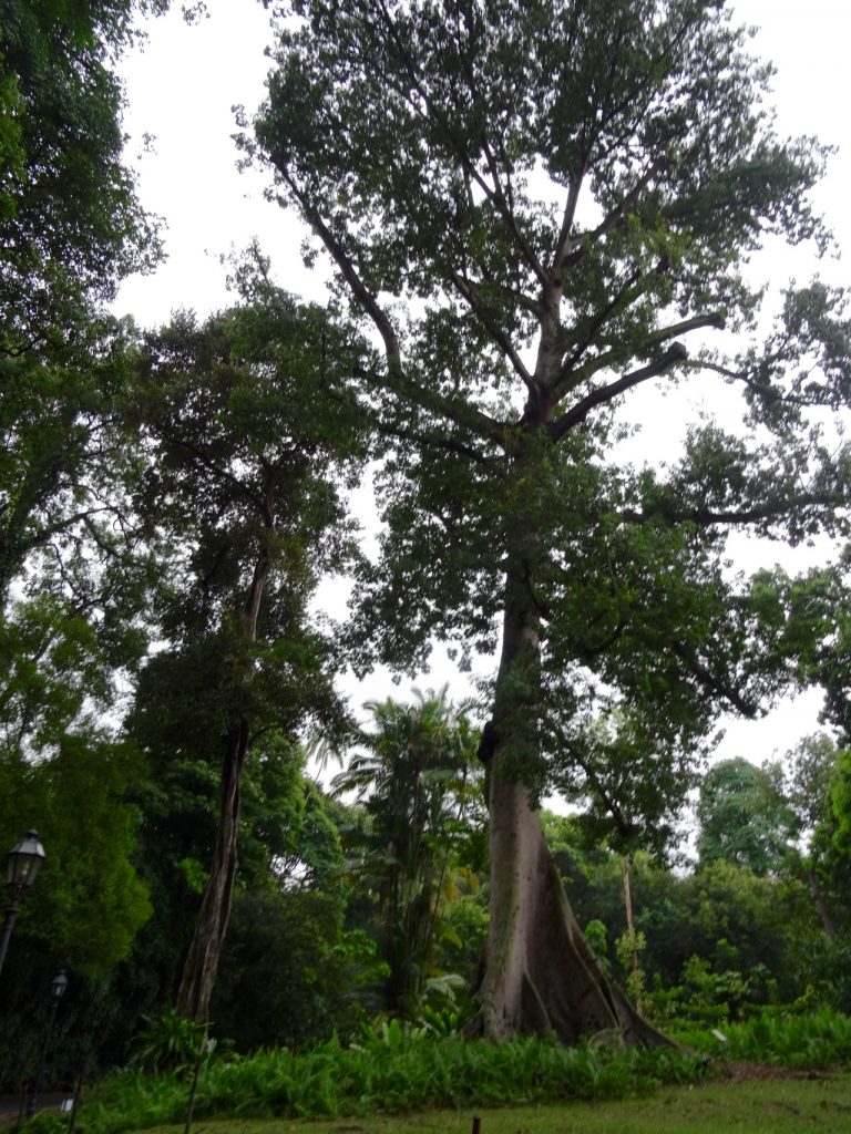 SIN-04 - 31 SIN-04 - 31