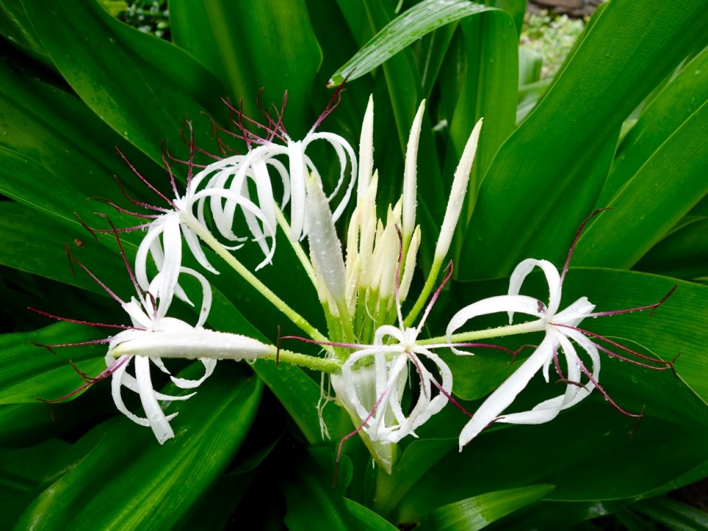 SIN-04 - 39 SIN-04 - 39