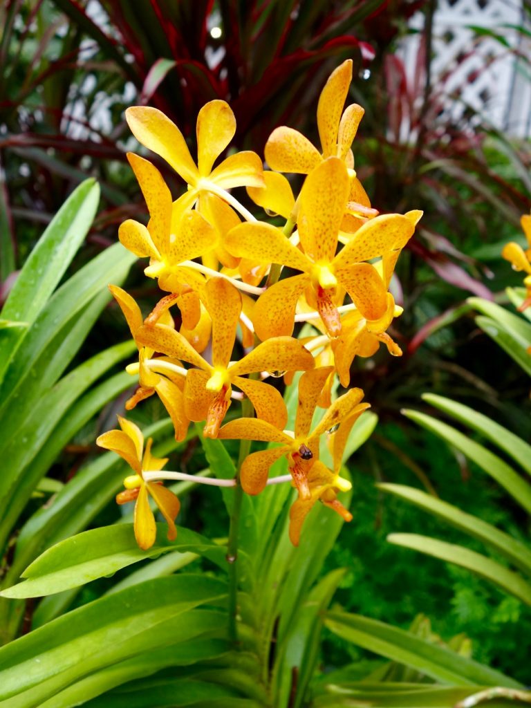 SIN-04 - 40 SIN-04 - 40