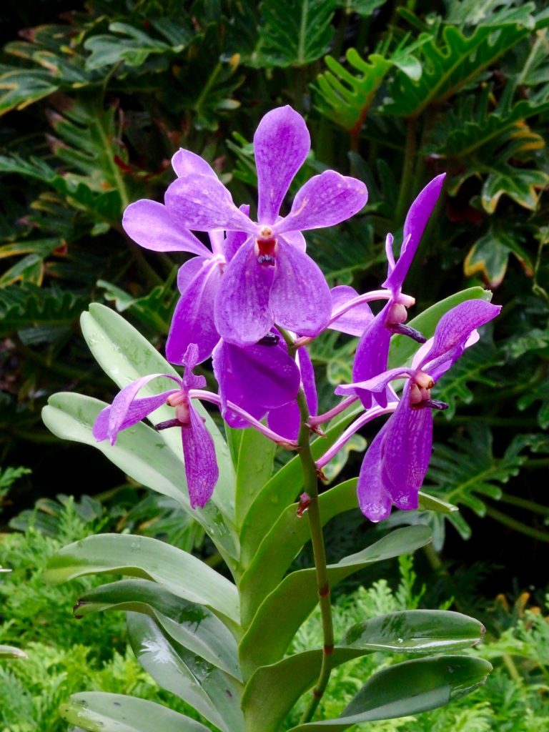 SIN-04 - 42 SIN-04 - 42