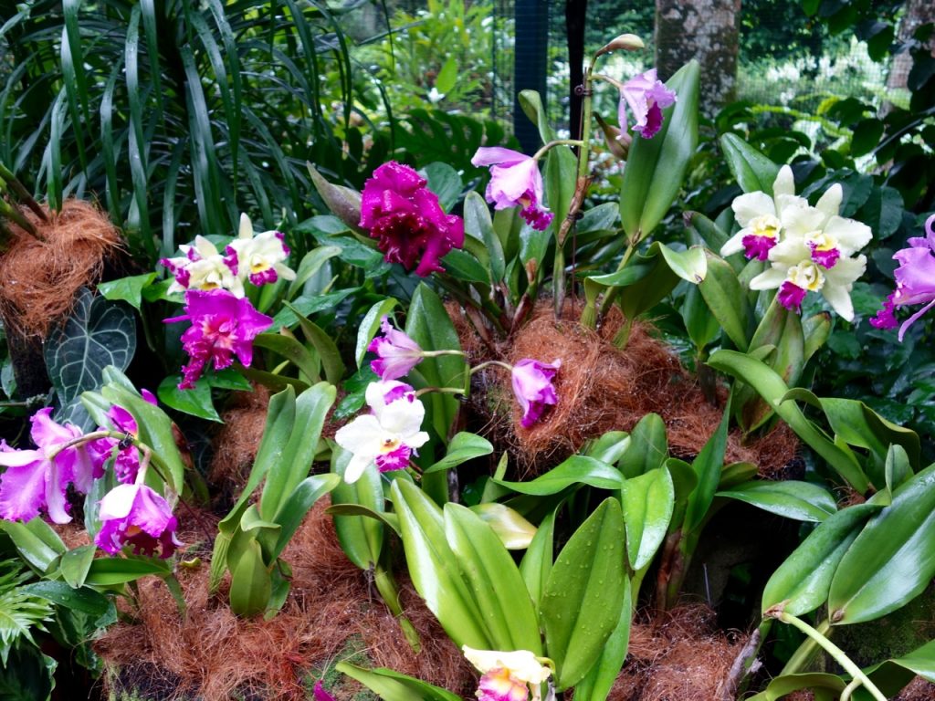 SIN-04 - 47 SIN-04 - 47