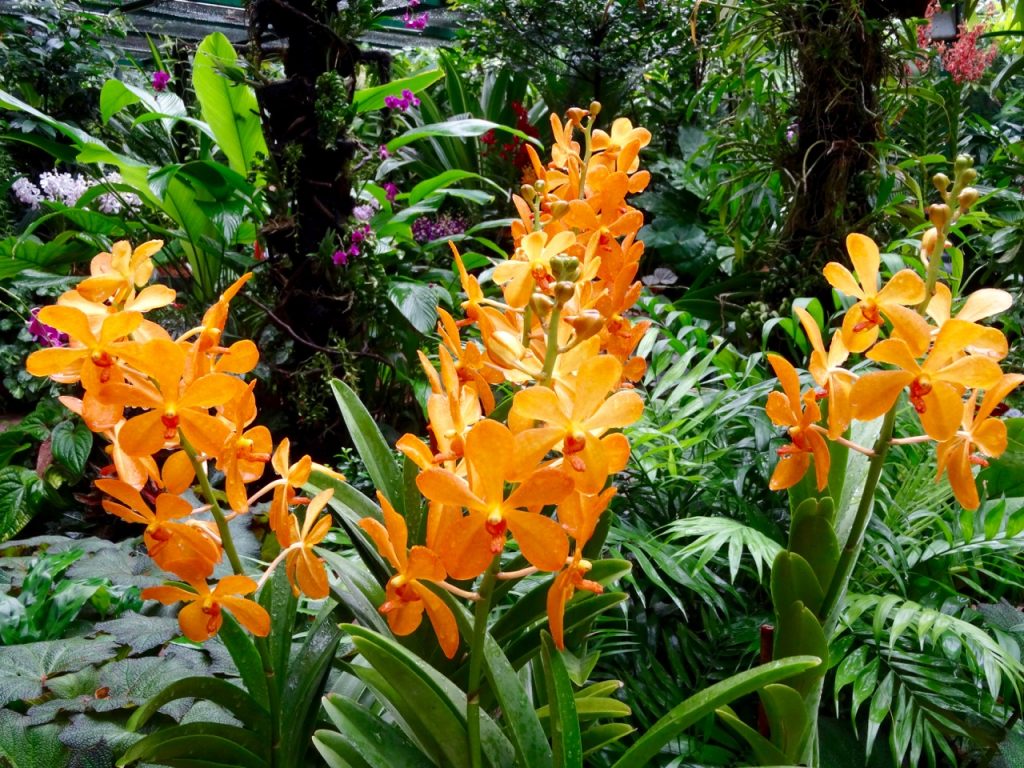 SIN-04 - 49 SIN-04 - 49