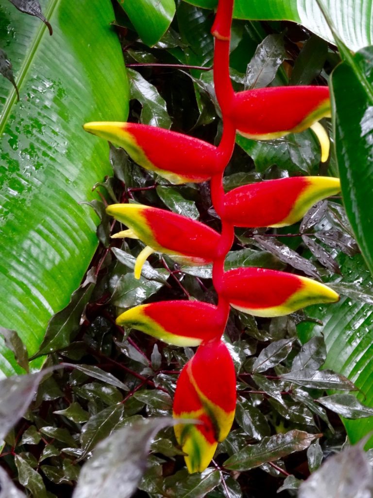 SIN-04 - 55 SIN-04 - 55