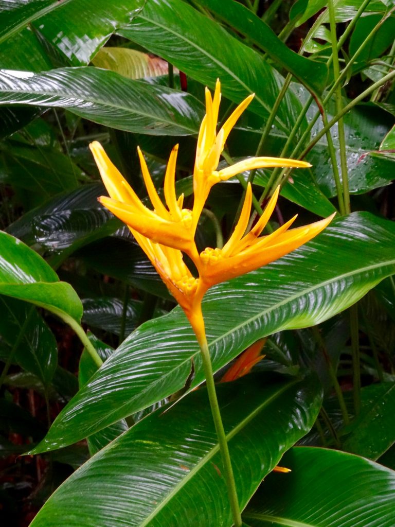 SIN-04 - 56 SIN-04 - 56