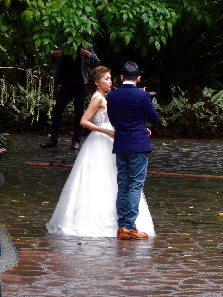 SIN-04 - 57 SIN-04 - 57