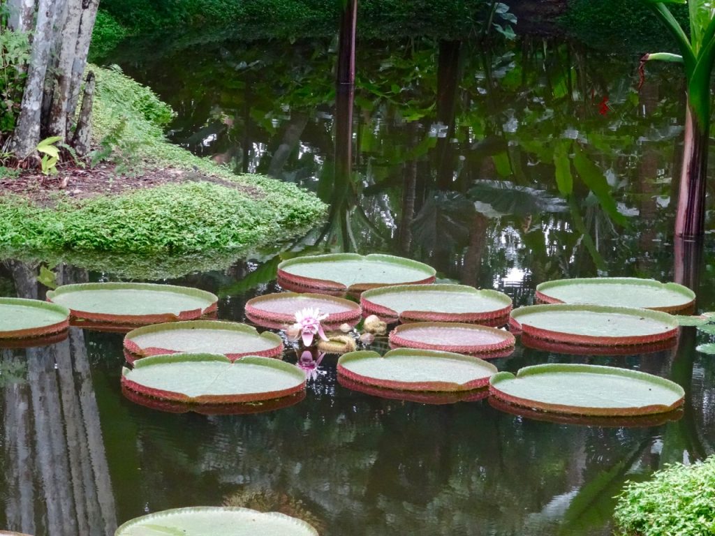 SIN-04 - 58 SIN-04 - 58