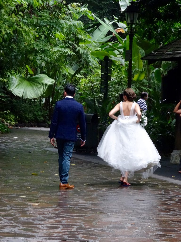 SIN-04 - 60 SIN-04 - 60