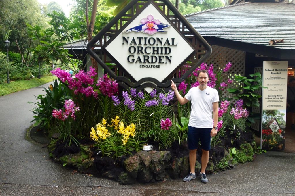 SIN-04 - 61 SIN-04 - 61