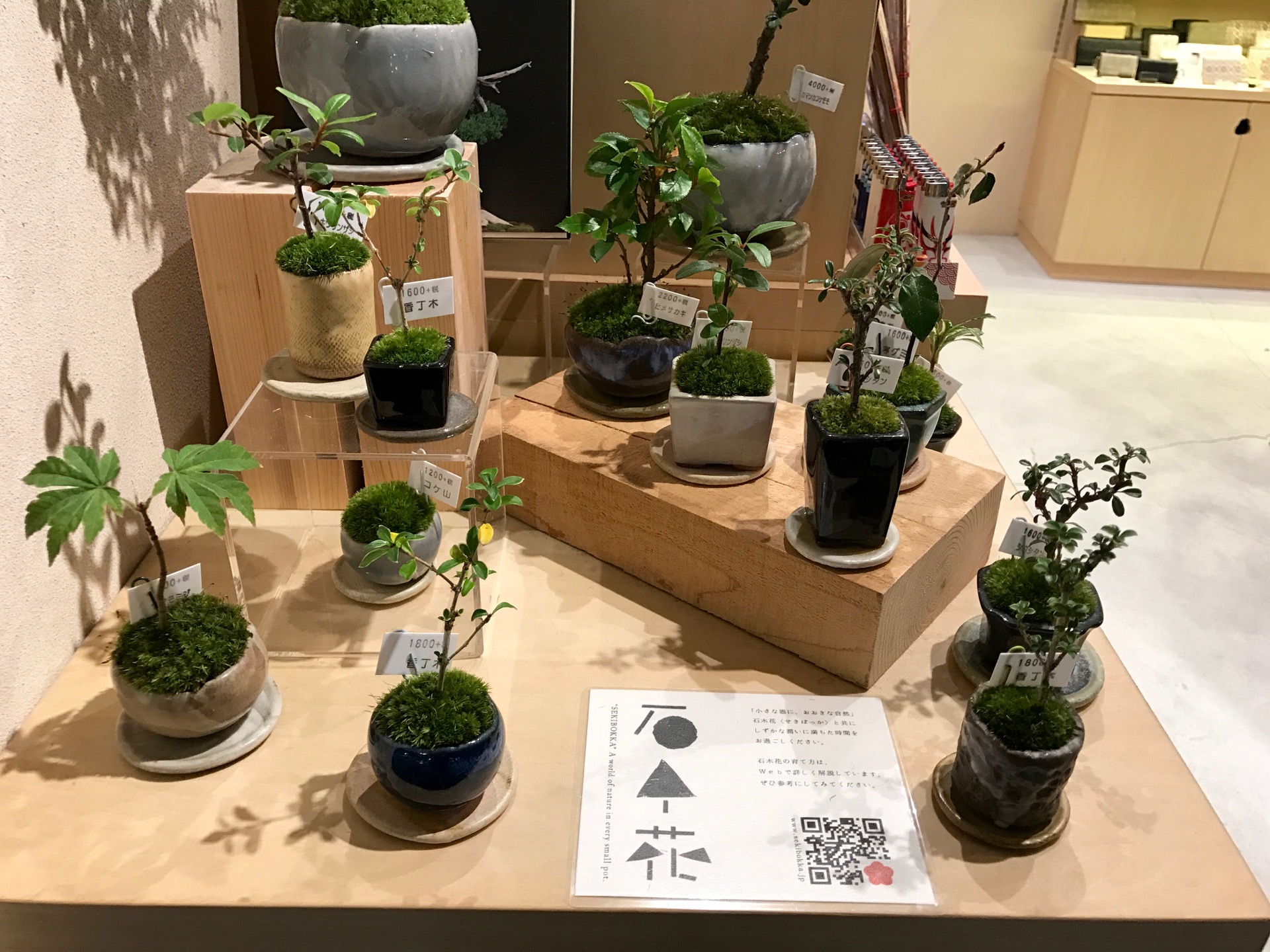 JAPAN-2016-01-28 JAPAN-2016-01-28