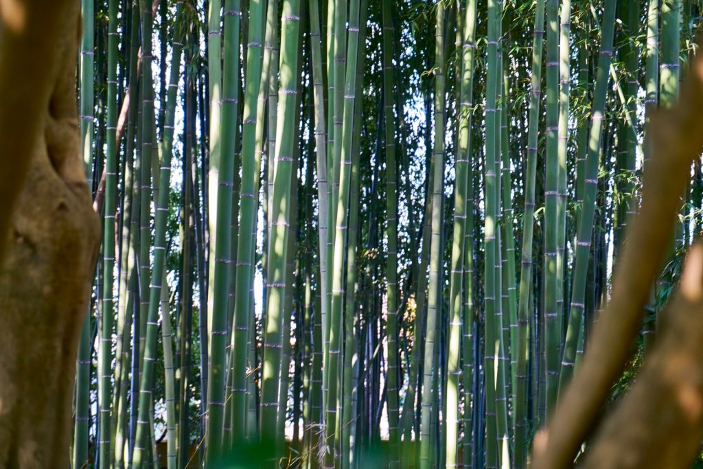 JAPAN-2016-02-006 JAPAN-2016-02-006