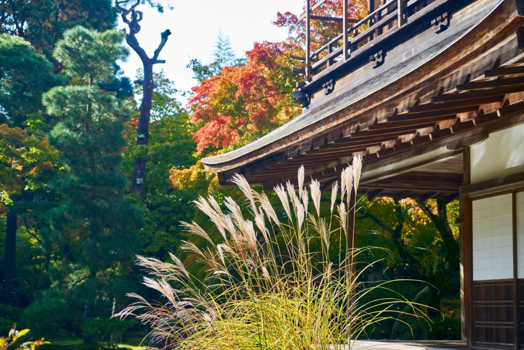 JAPAN-2016-02-012 JAPAN-2016-02-012