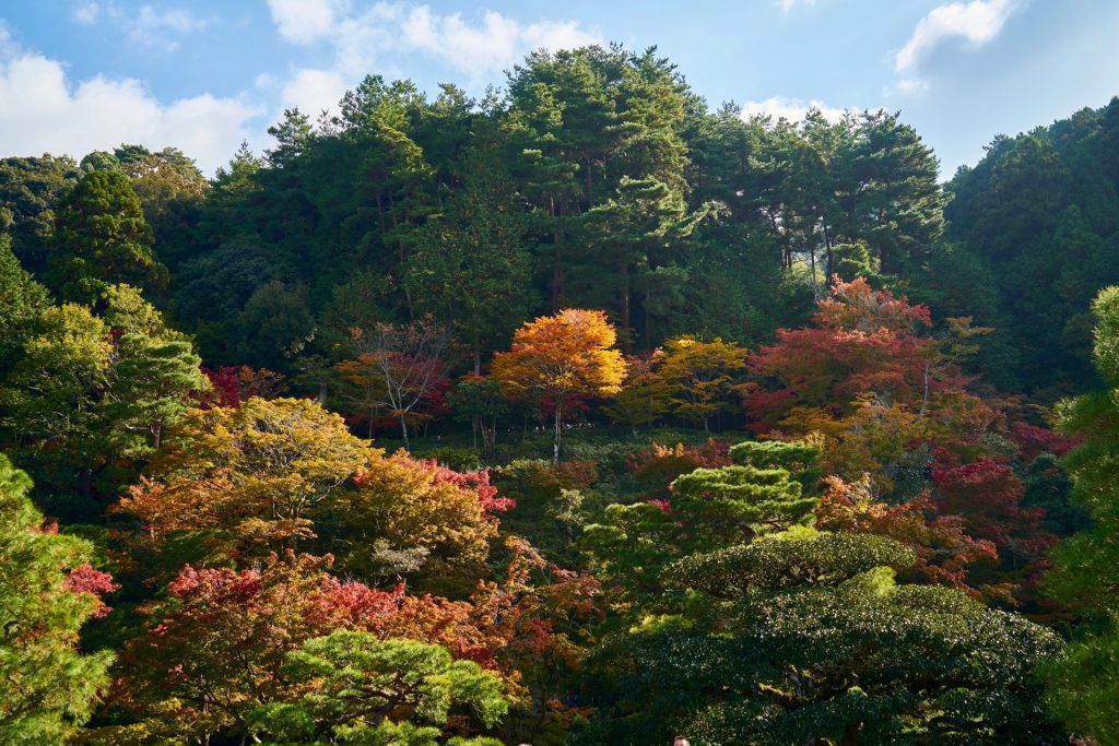 JAPAN-2016-02-013 JAPAN-2016-02-013