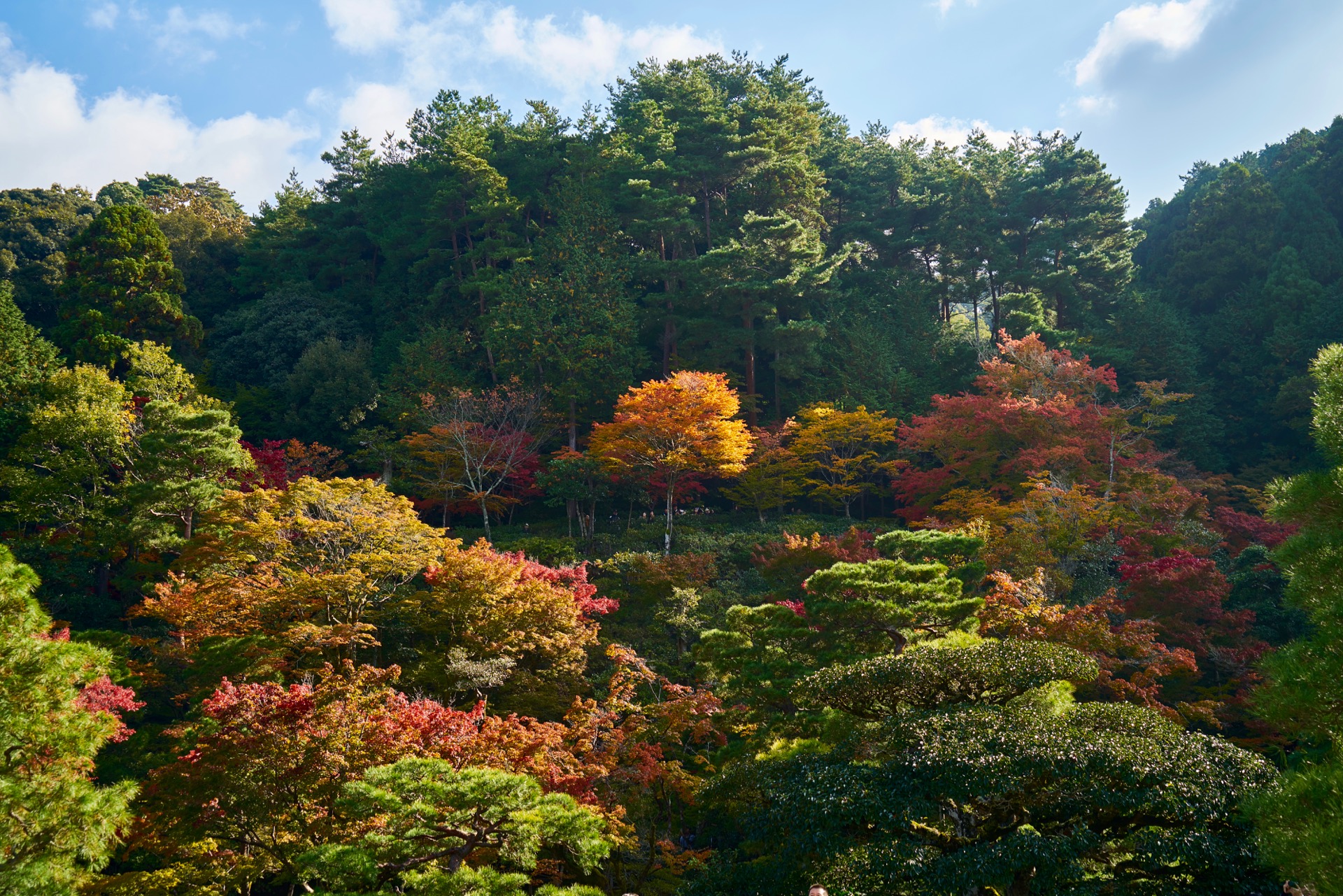 JAPAN-2016-02-013 JAPAN-2016-02-013