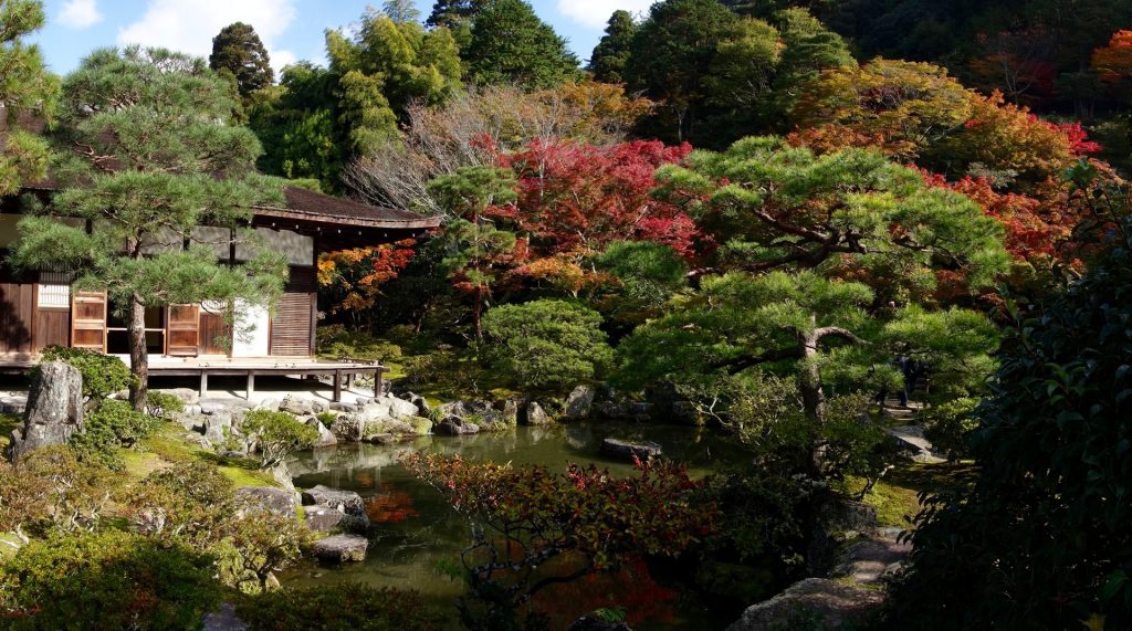 JAPAN-2016-02-016 JAPAN-2016-02-016