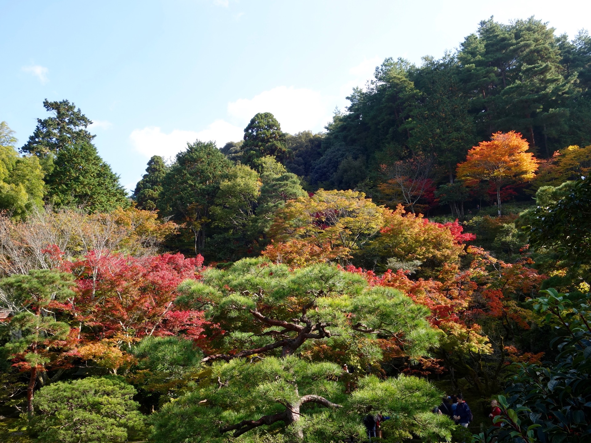 JAPAN-2016-02-018 JAPAN-2016-02-018