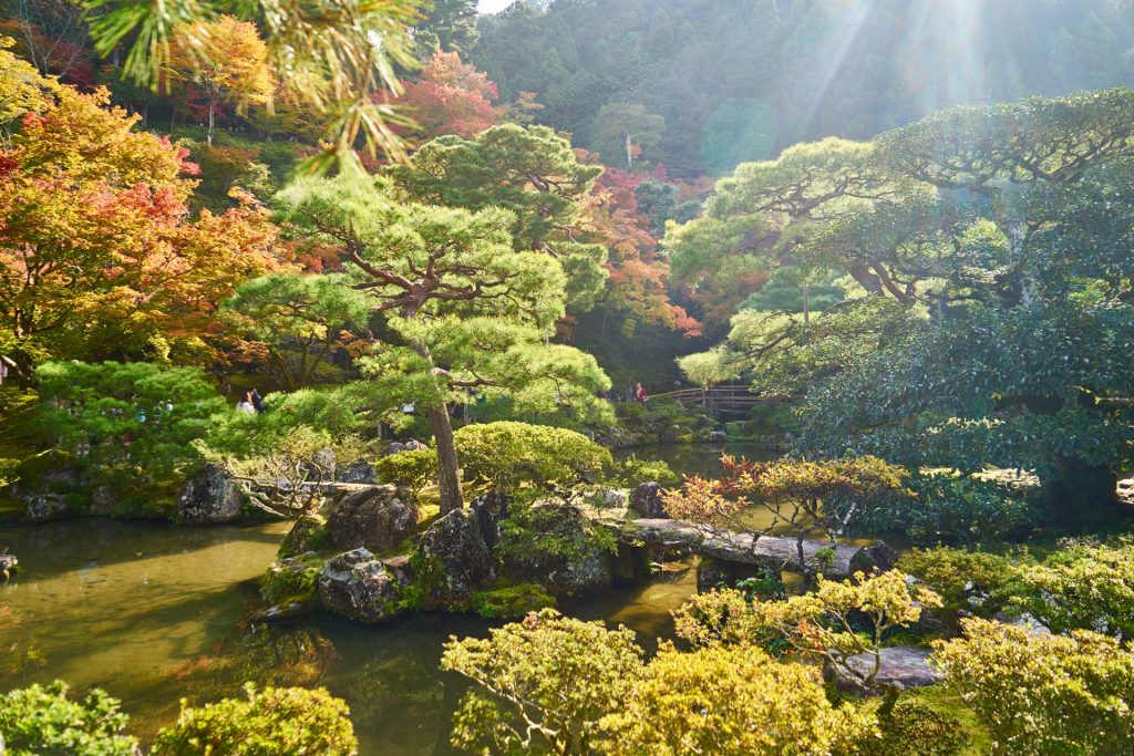 JAPAN-2016-02-019 JAPAN-2016-02-019