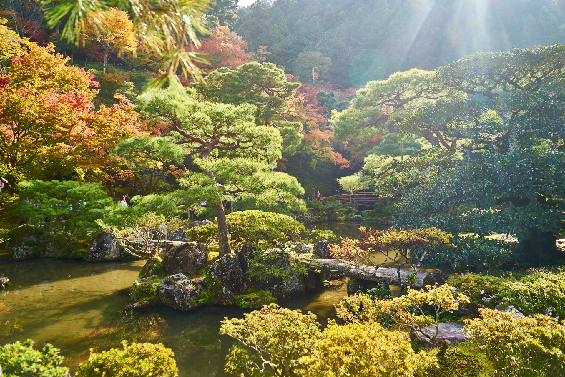 JAPAN-2016-02-019 JAPAN-2016-02-019