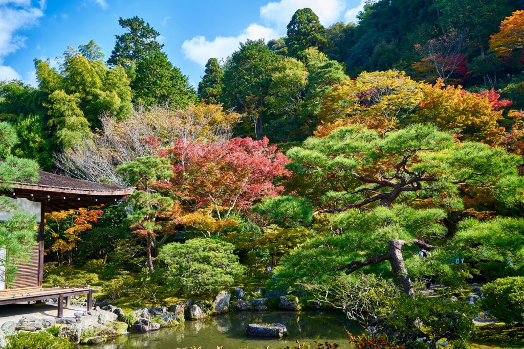 JAPAN-2016-02-020 JAPAN-2016-02-020