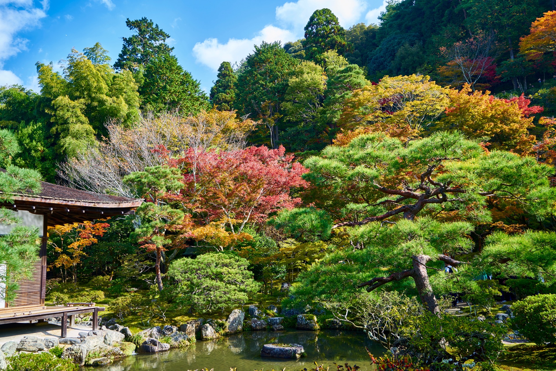 JAPAN-2016-02-020 JAPAN-2016-02-020