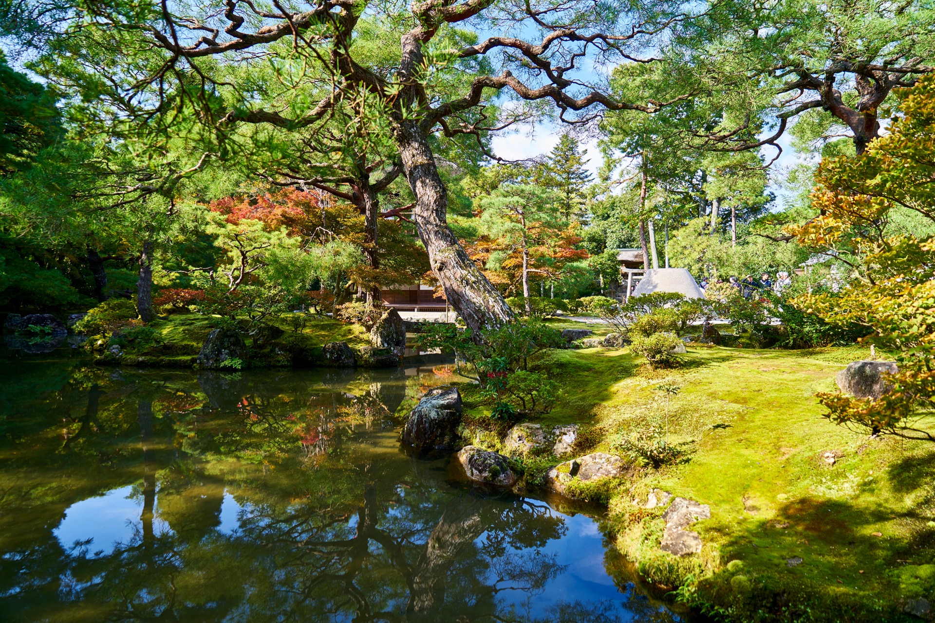 JAPAN-2016-02-021 JAPAN-2016-02-021