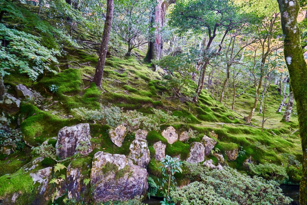 JAPAN-2016-02-025 JAPAN-2016-02-025