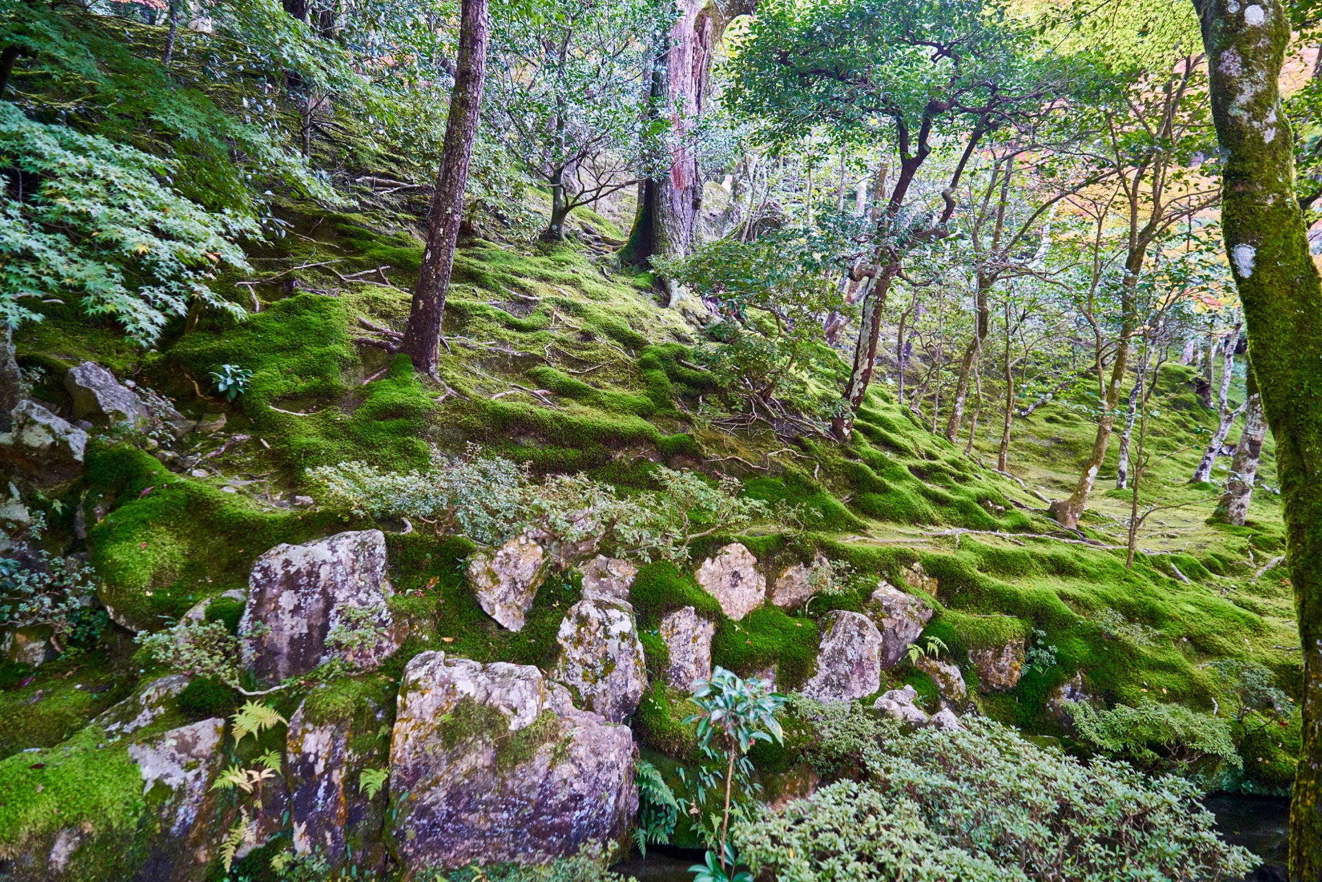 JAPAN-2016-02-025 JAPAN-2016-02-025