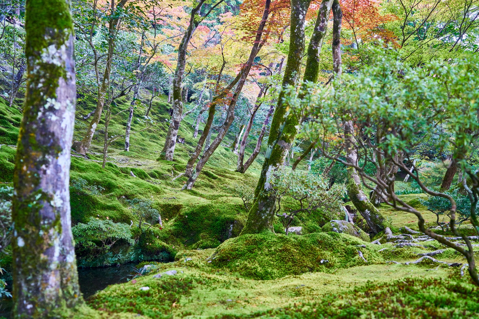 JAPAN-2016-02-026 JAPAN-2016-02-026