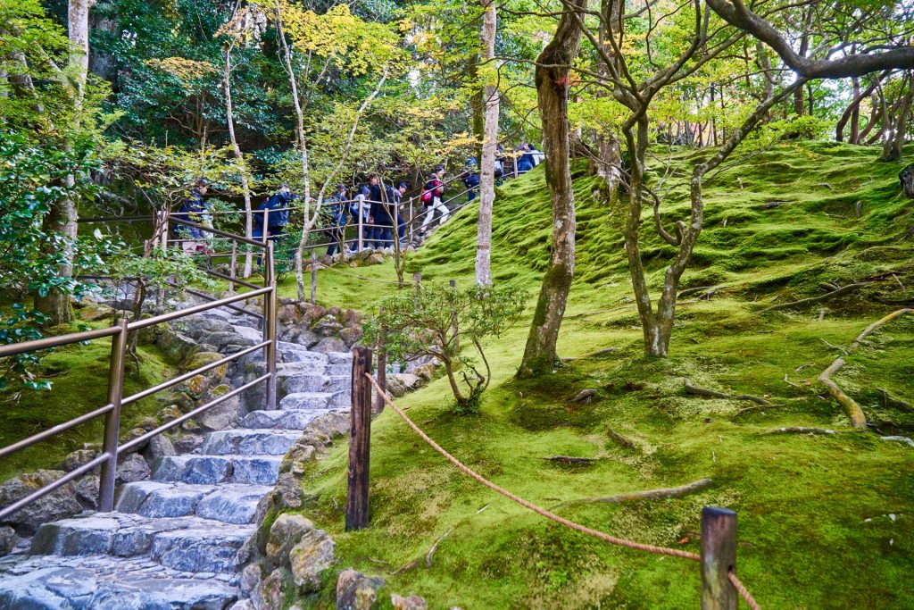 JAPAN-2016-02-036 JAPAN-2016-02-036