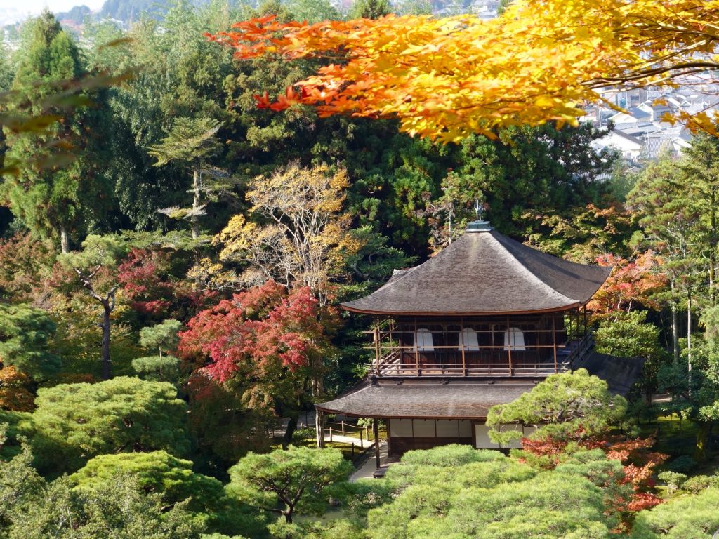 JAPAN-2016-02-039 JAPAN-2016-02-039