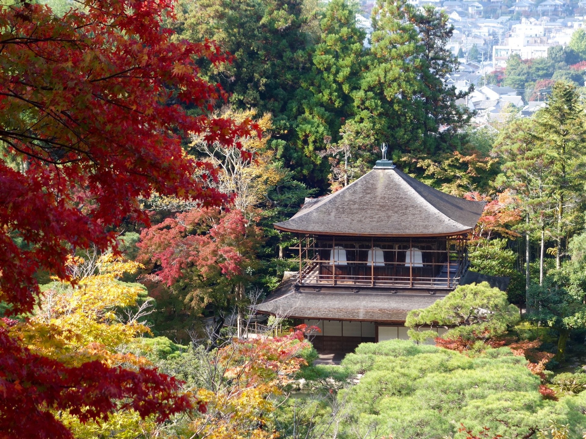 JAPAN-2016-02-042 JAPAN-2016-02-042