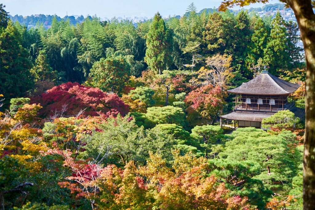 JAPAN-2016-02-043 JAPAN-2016-02-043