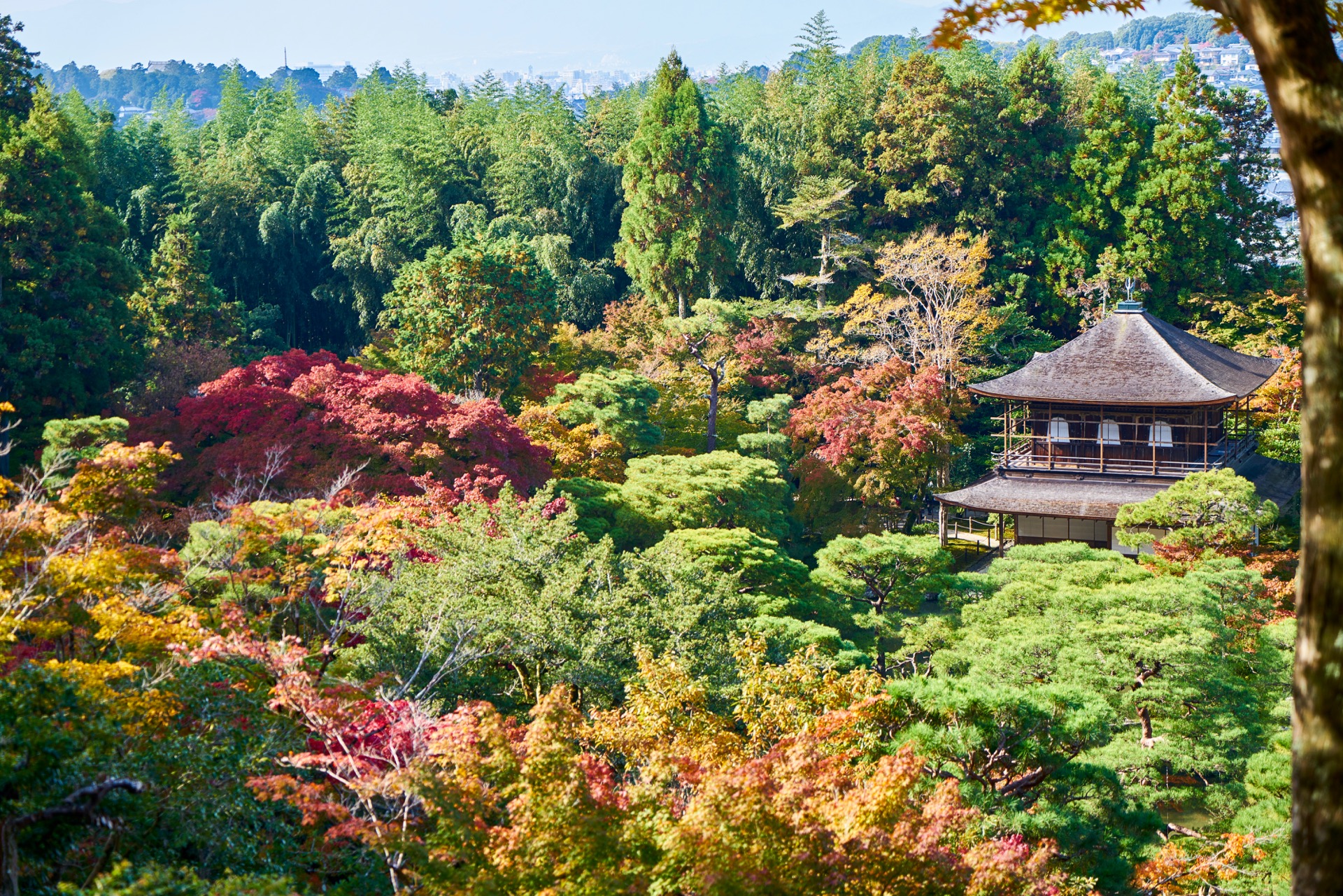 JAPAN-2016-02-043 JAPAN-2016-02-043