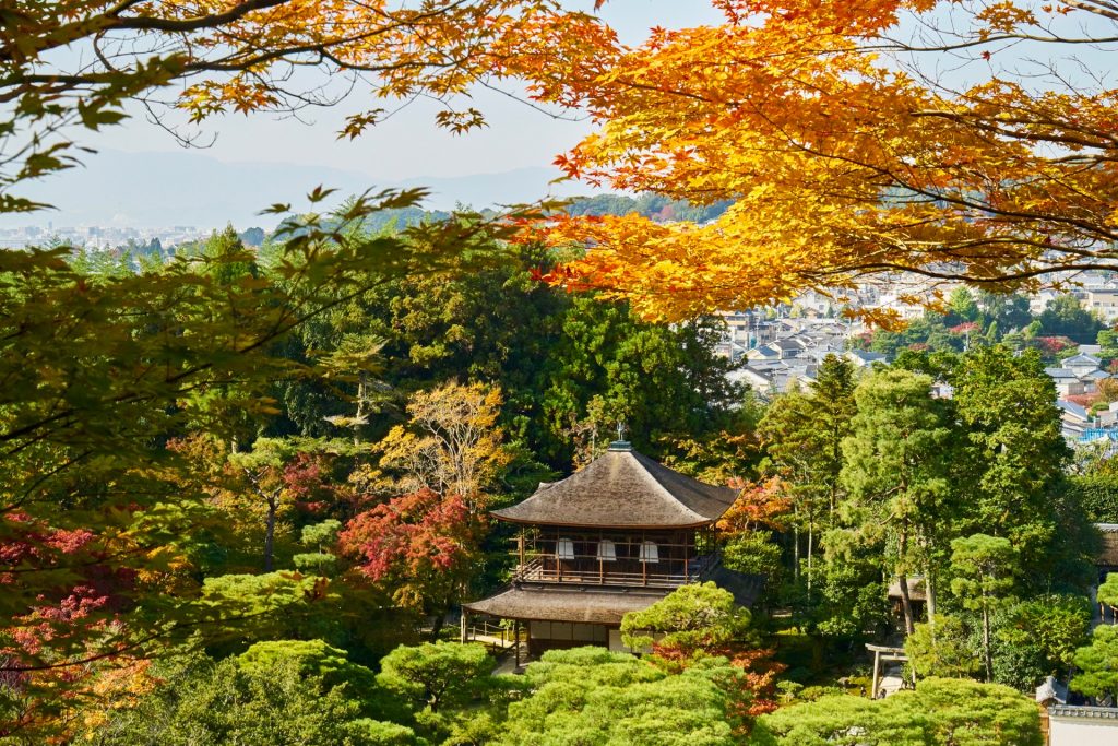 JAPAN-2016-02-046 JAPAN-2016-02-046