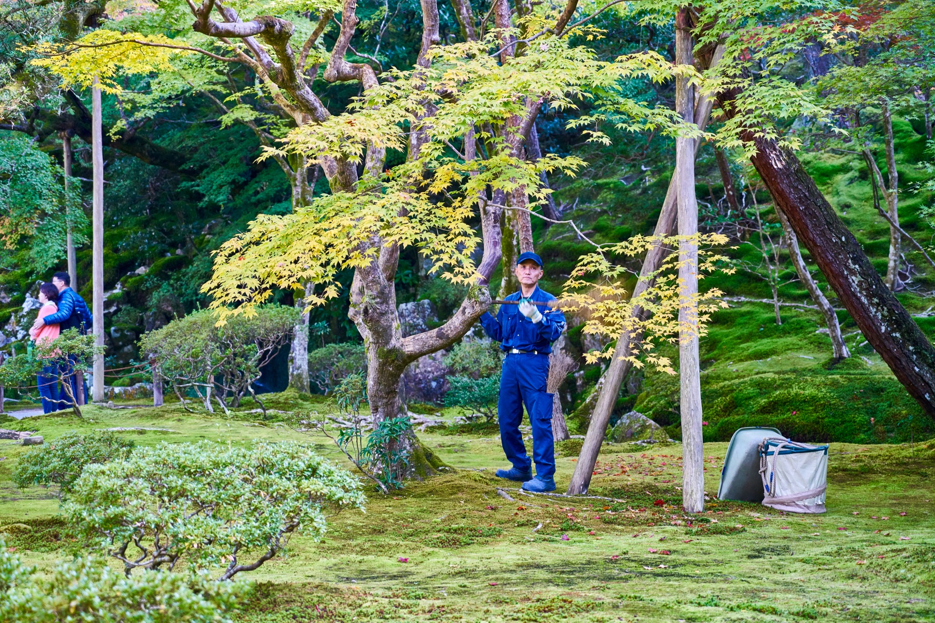 JAPAN-2016-02-048 JAPAN-2016-02-048