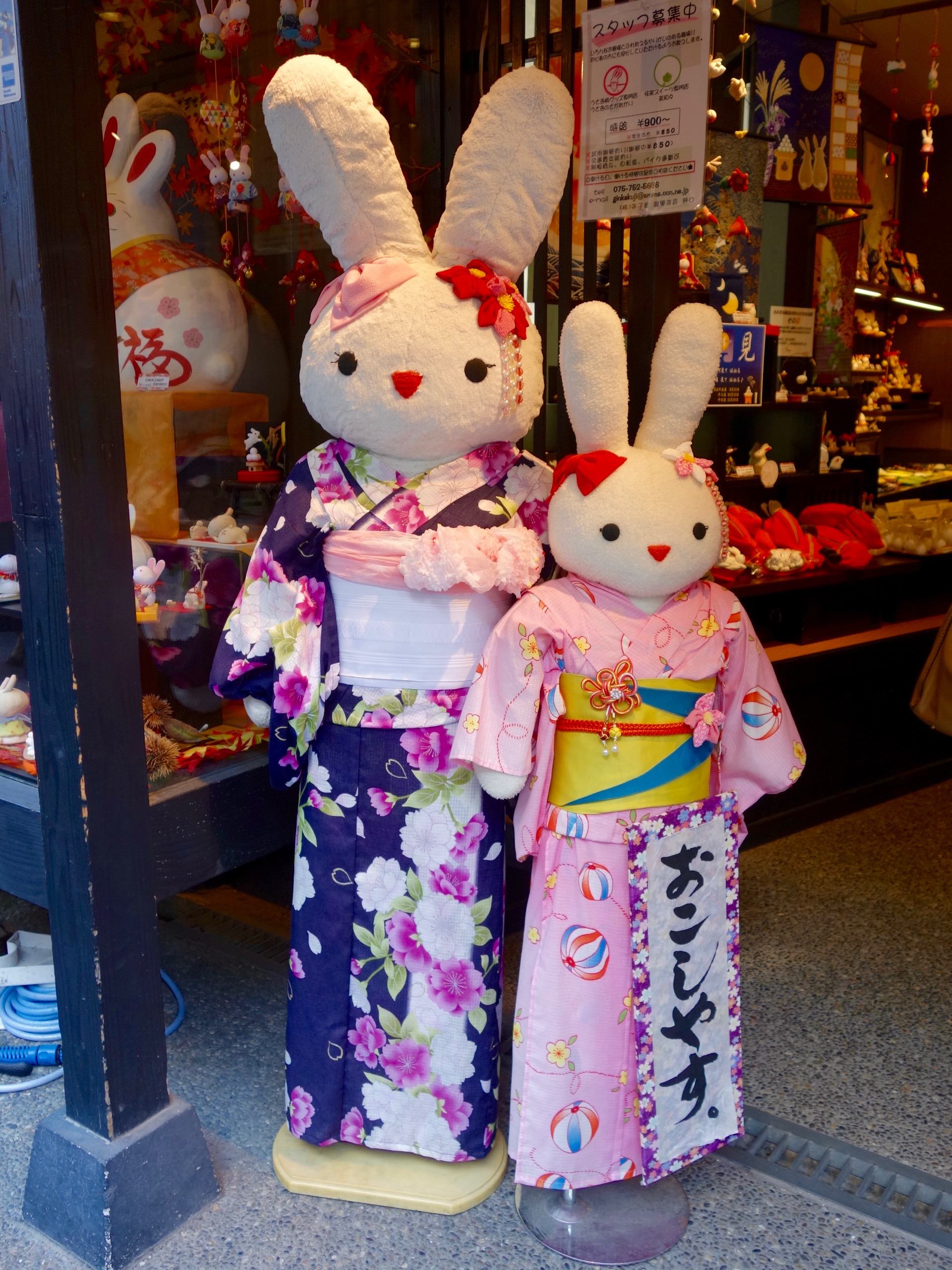 JAPAN-2016-02-053 JAPAN-2016-02-053