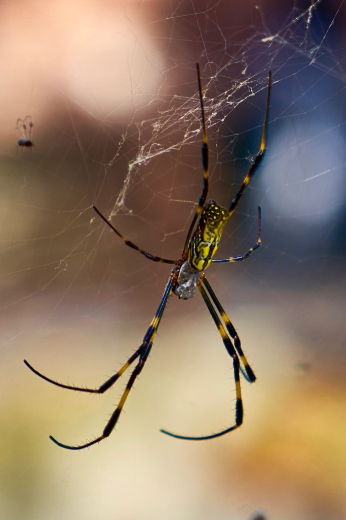 JAPAN-2016-02-054 JAPAN-2016-02-054