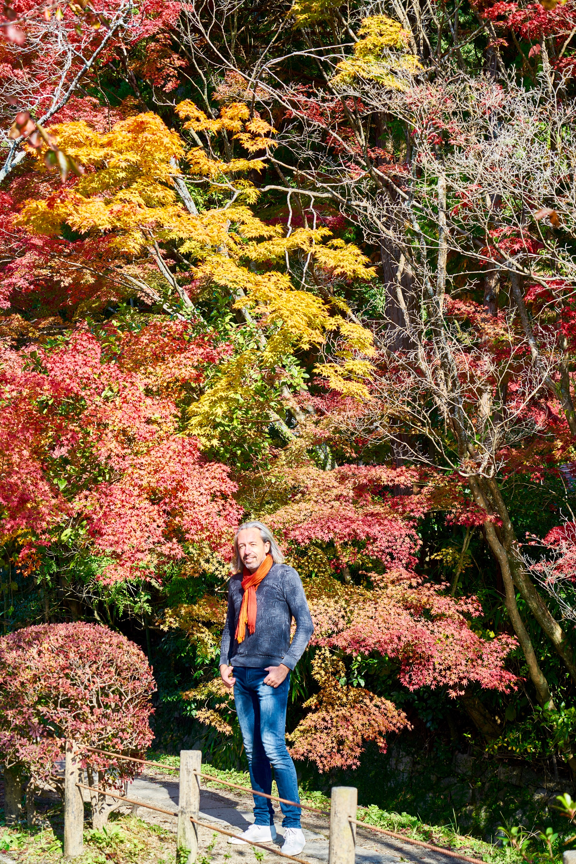 JAPAN-2016-02-066 JAPAN-2016-02-066