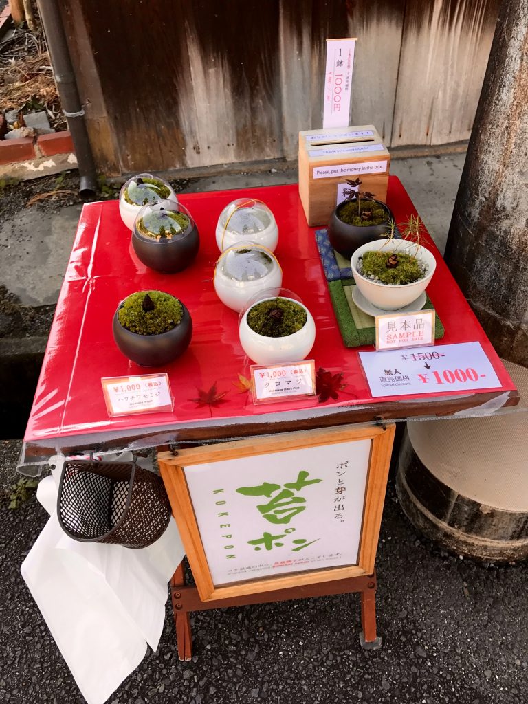 JAPAN-2016-02-067 JAPAN-2016-02-067