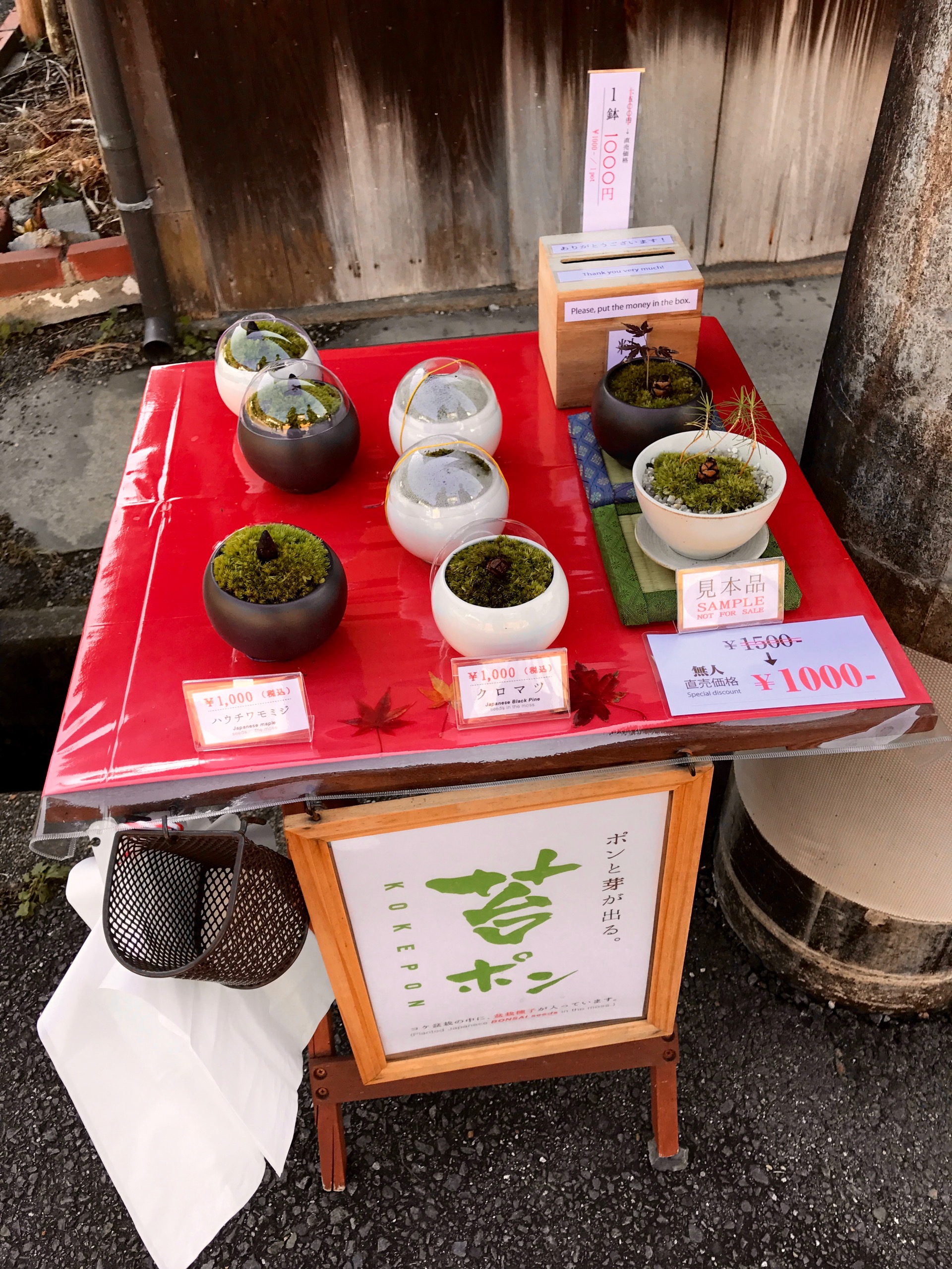 JAPAN-2016-02-067 JAPAN-2016-02-067