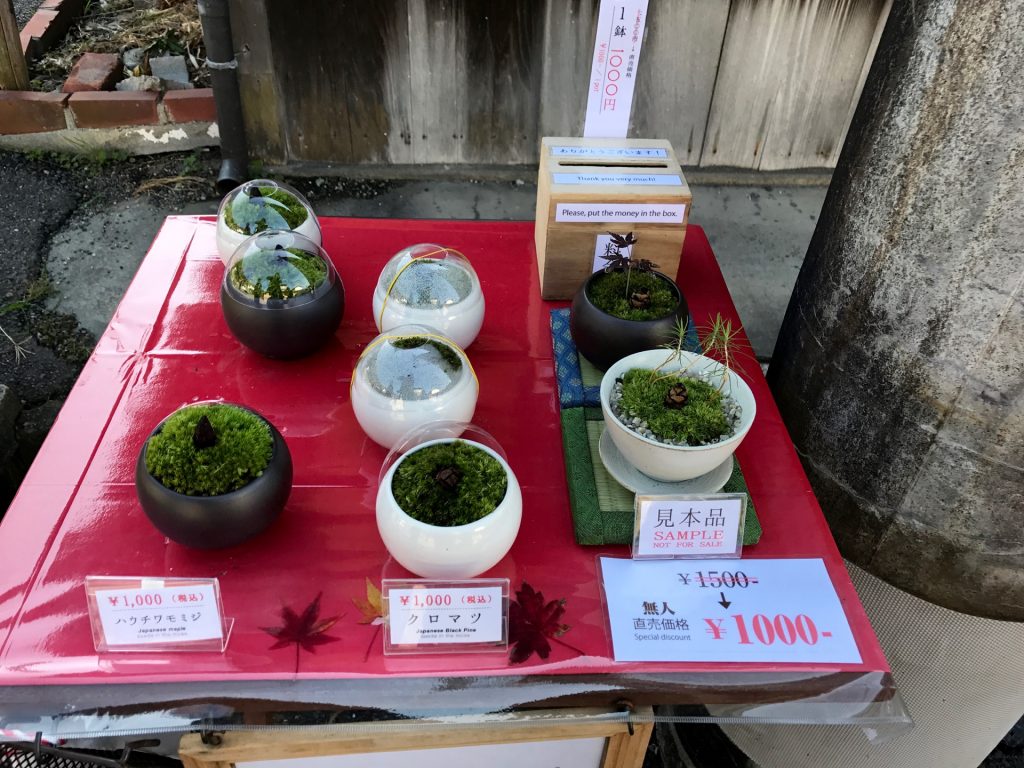 JAPAN-2016-02-068 JAPAN-2016-02-068