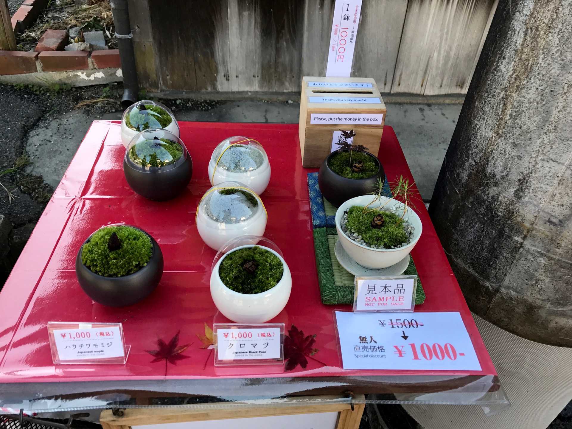 JAPAN-2016-02-068 JAPAN-2016-02-068