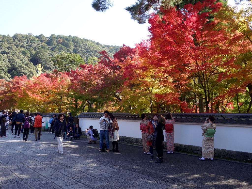 JAPAN-2016-02-069 JAPAN-2016-02-069